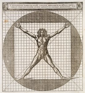 Proporciones ideales reveladas basadas en el cuerpo humano, de 